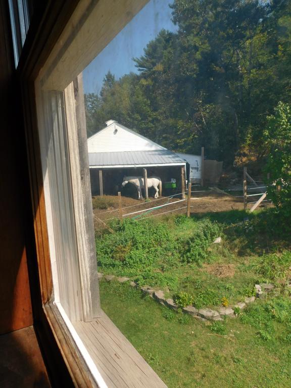 No View Farm Bed and Breakfast Rumford Εξωτερικό φωτογραφία