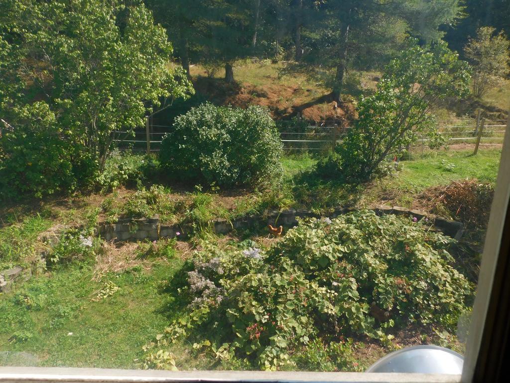 No View Farm Bed and Breakfast Rumford Εξωτερικό φωτογραφία